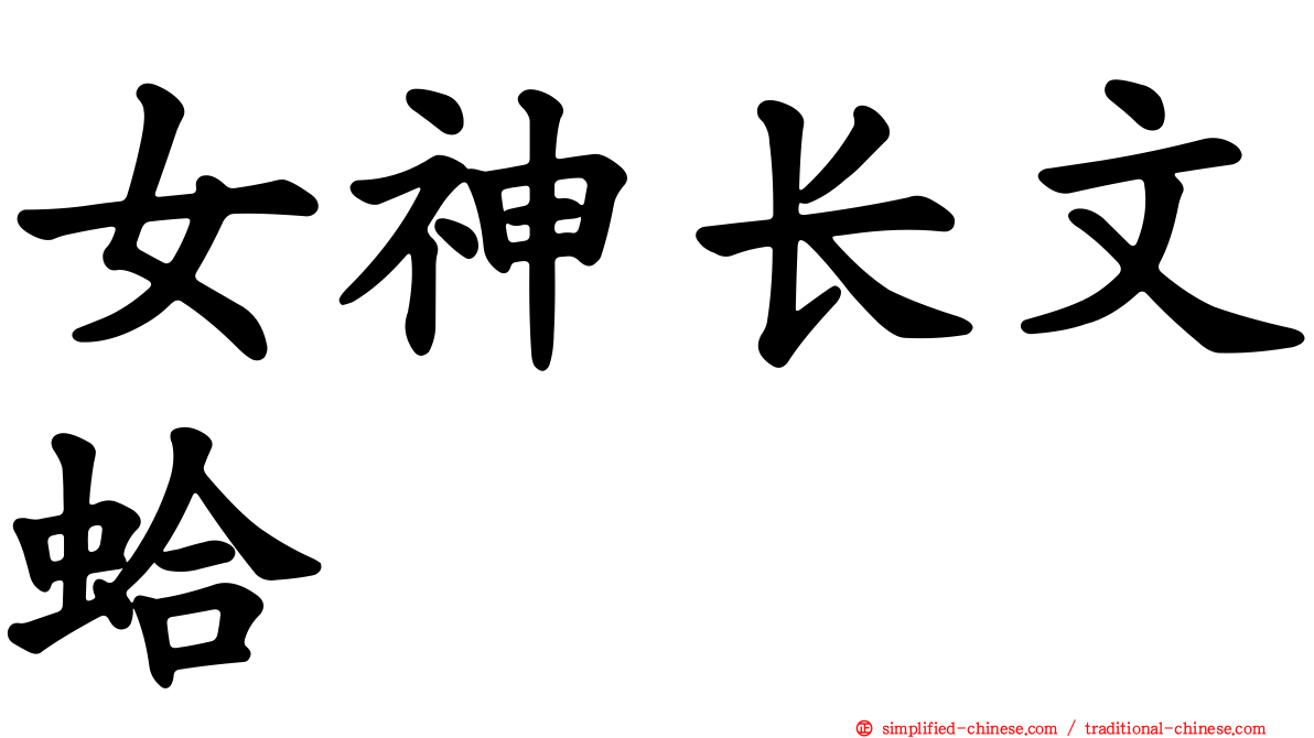 女神长文蛤