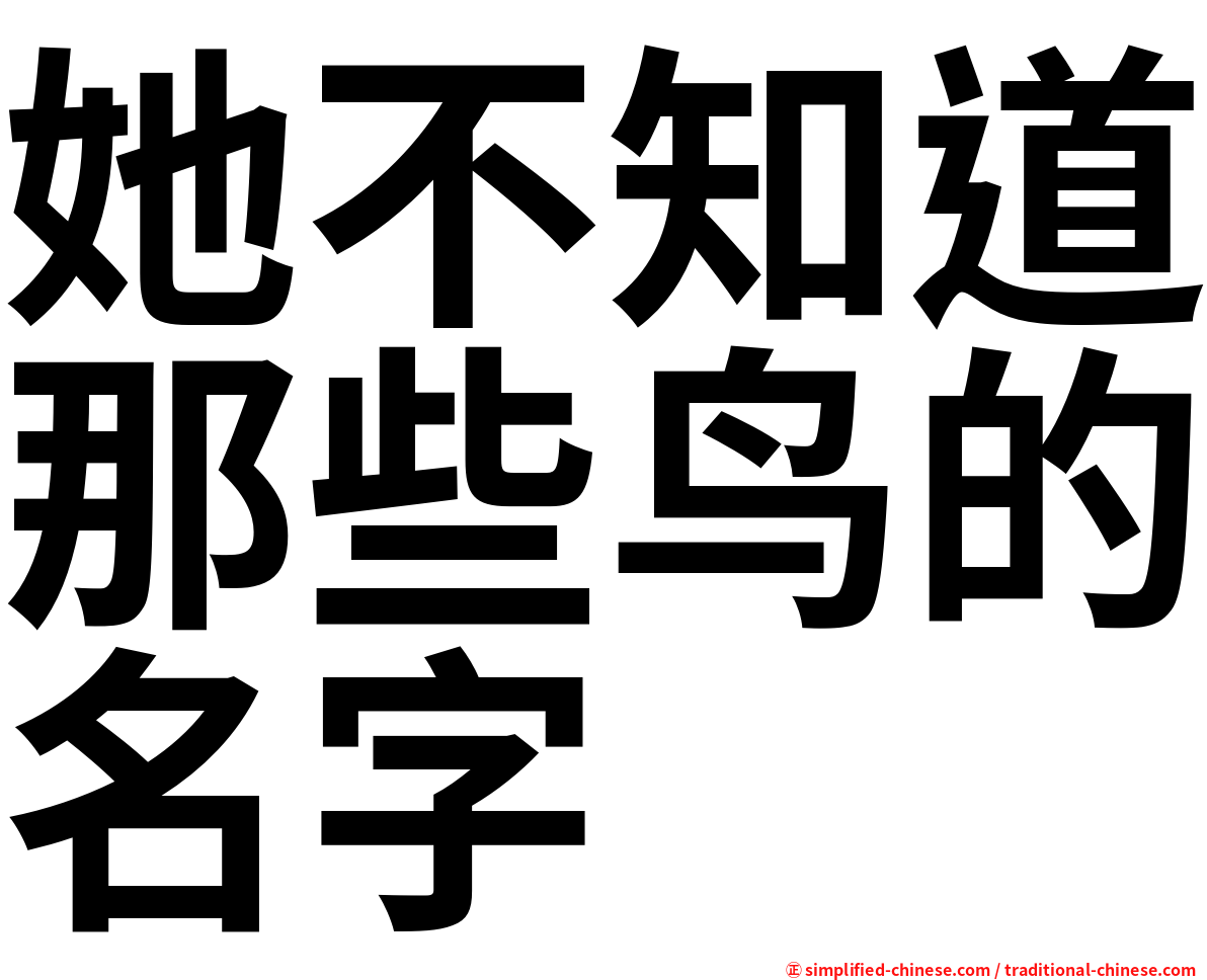 她不知道那些鸟的名字