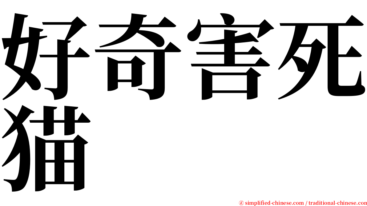 好奇害死猫 serif font