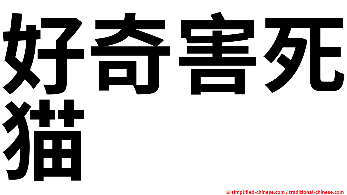 好奇害死猫