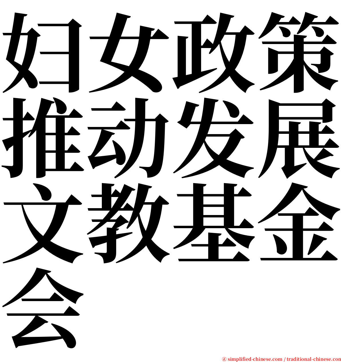 妇女政策推动发展文教基金会 serif font