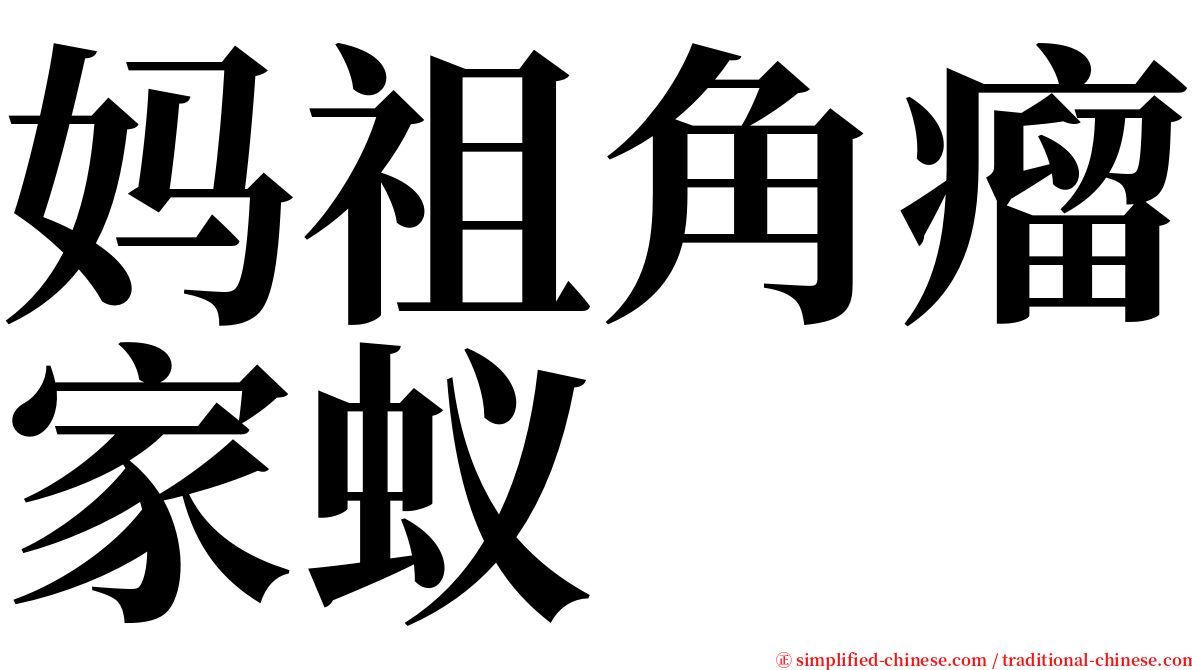 妈祖角瘤家蚁 serif font