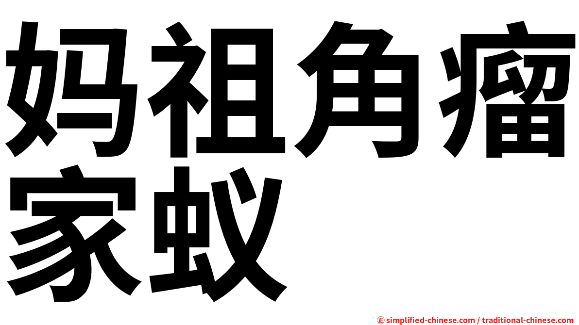 妈祖角瘤家蚁