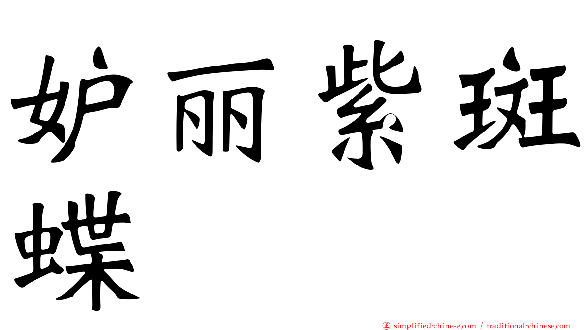 妒丽紫斑蝶
