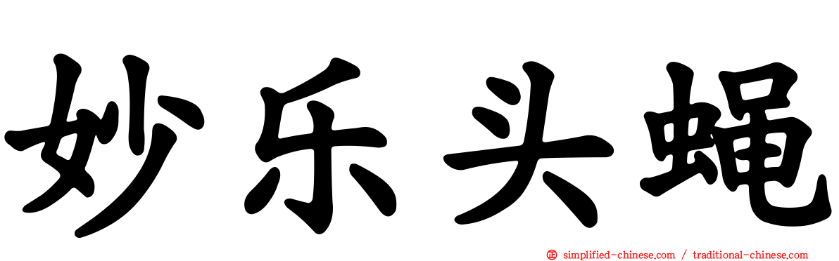 妙乐头蝇