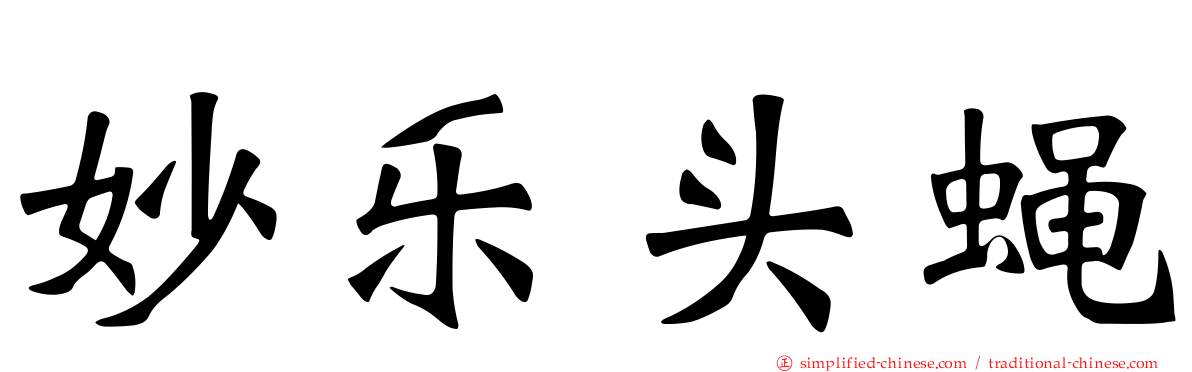 妙乐头蝇