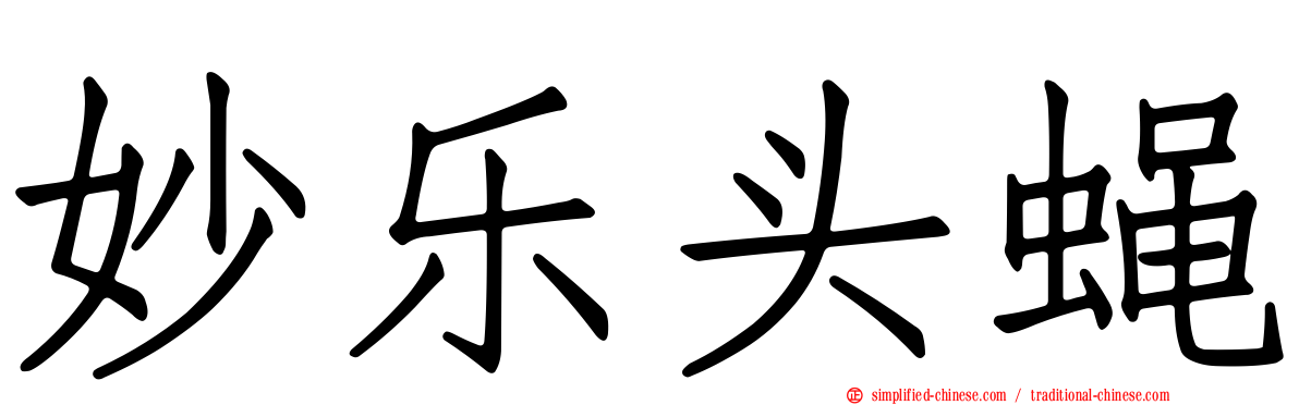 妙乐头蝇