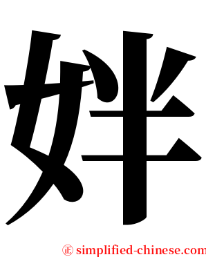 姅 serif font