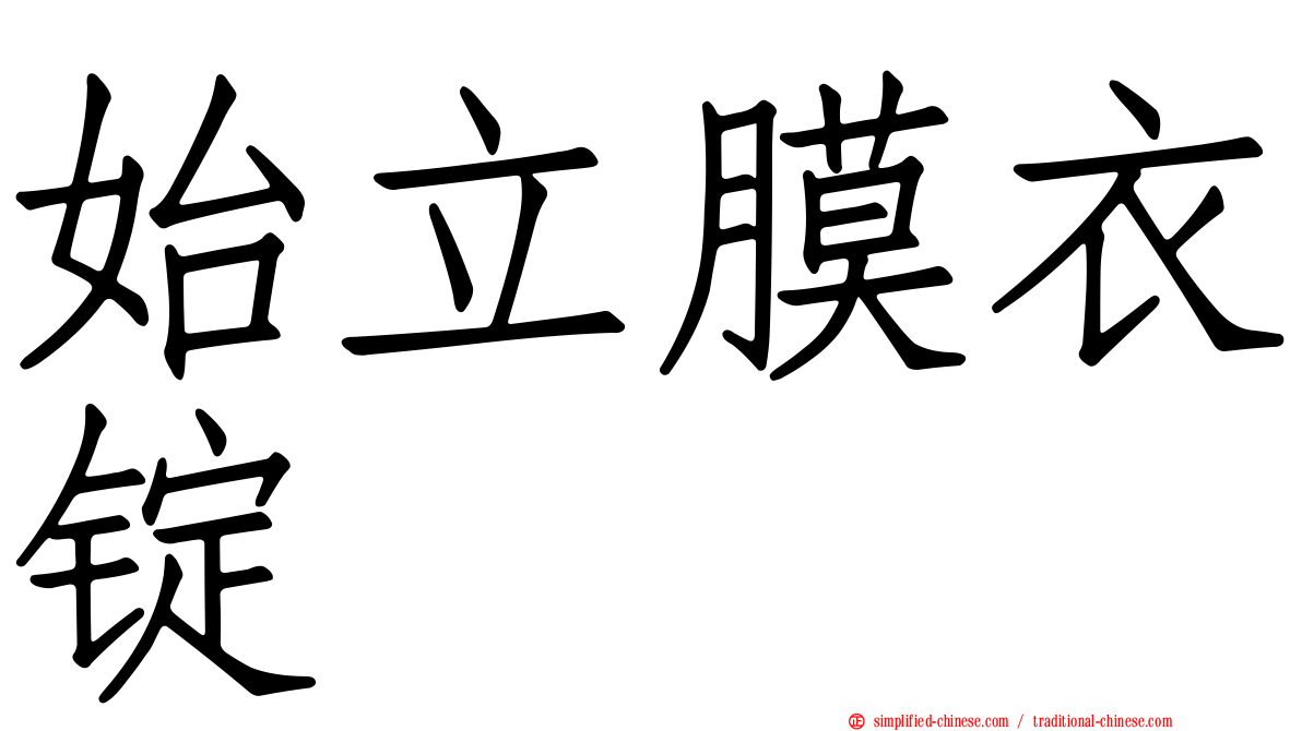 始立膜衣锭
