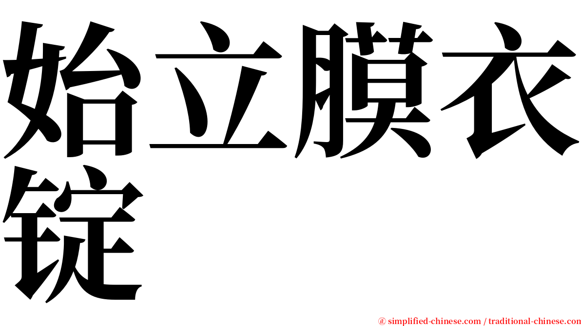 始立膜衣锭 serif font