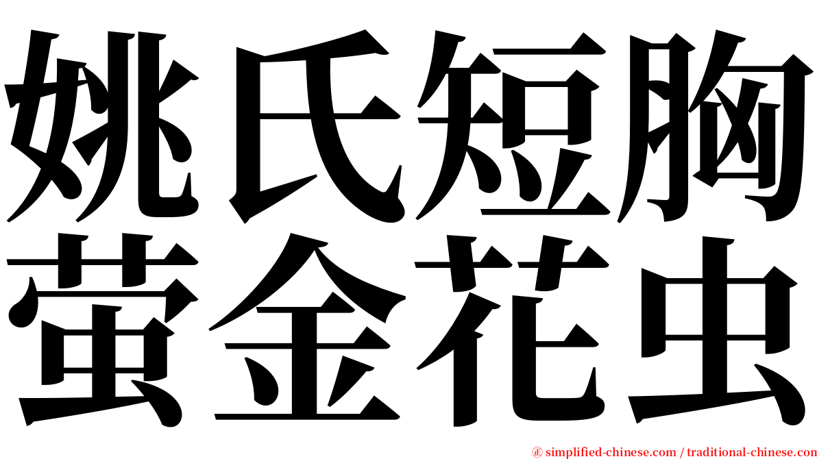 姚氏短胸萤金花虫 serif font