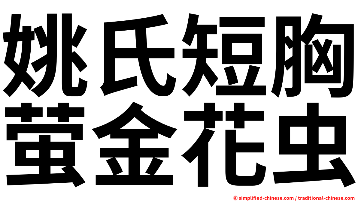 姚氏短胸萤金花虫