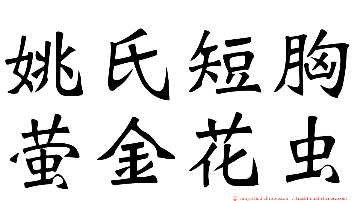姚氏短胸萤金花虫