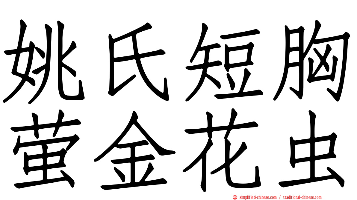 姚氏短胸萤金花虫