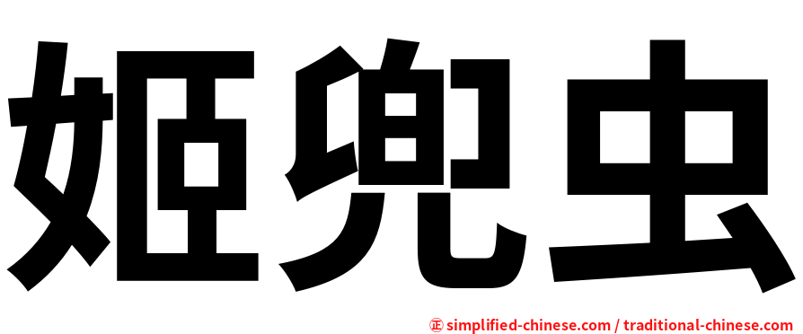 姬兜虫