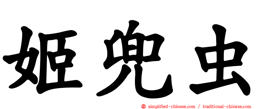 姬兜虫