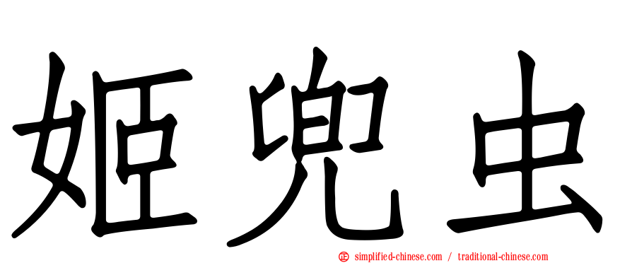 姬兜虫