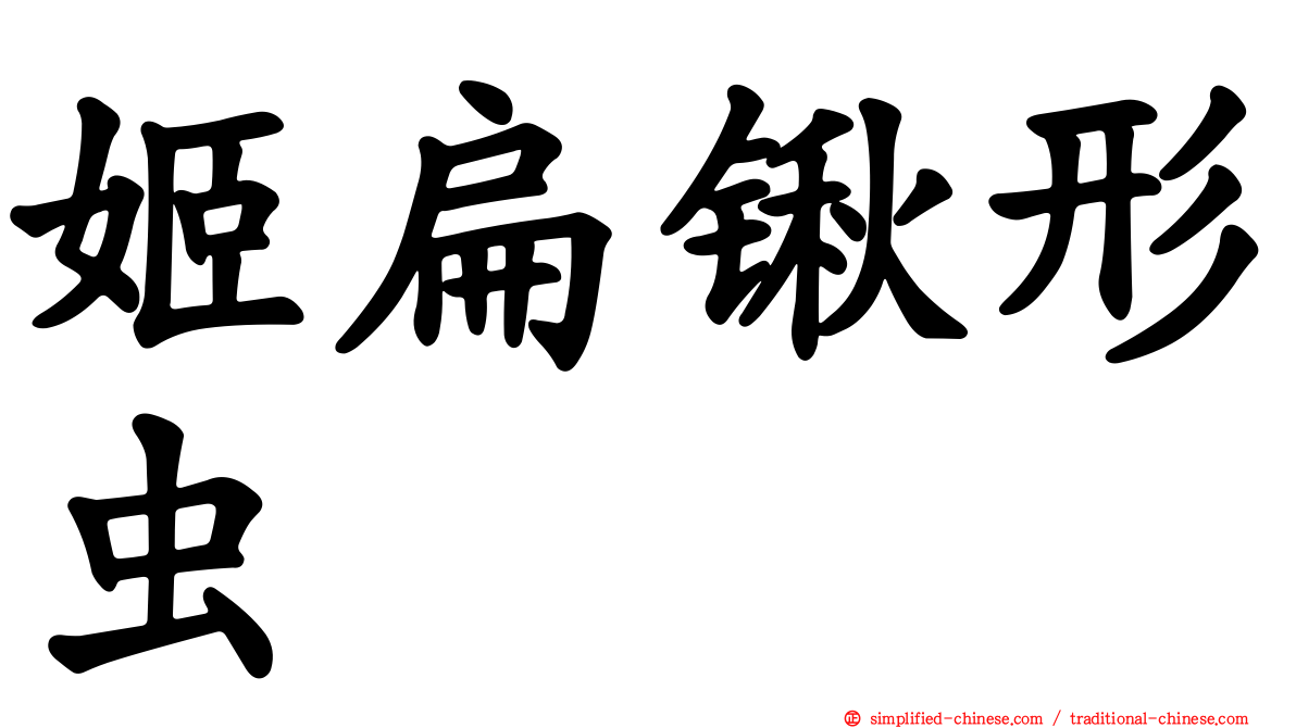 姬扁锹形虫