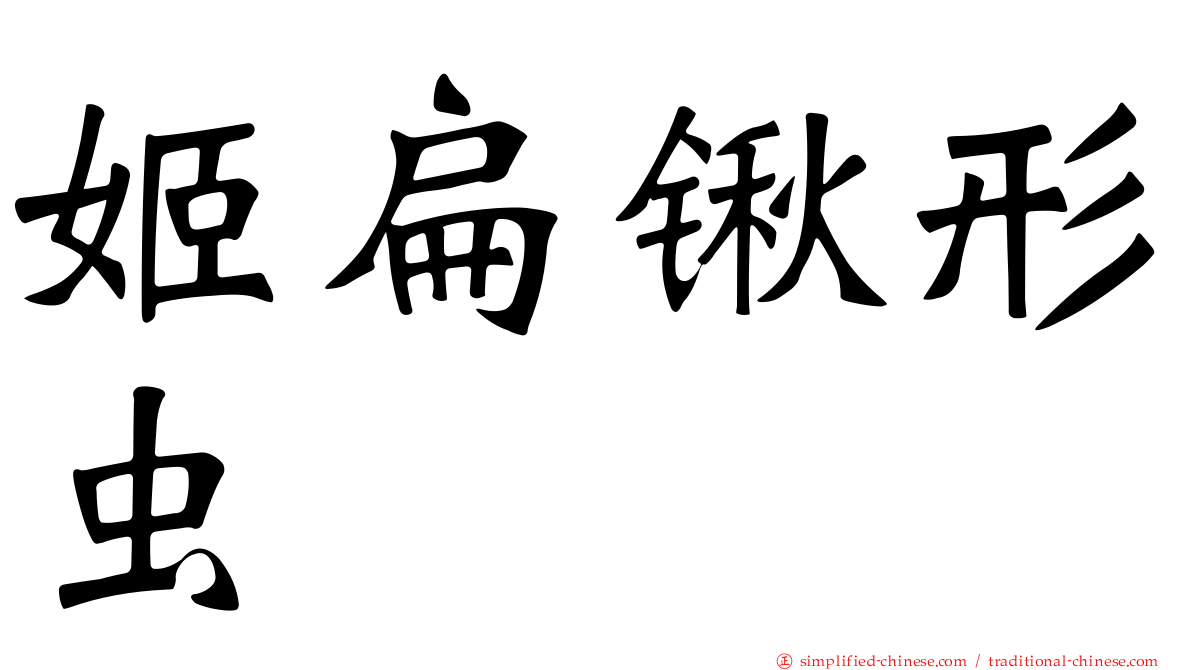 姬扁锹形虫