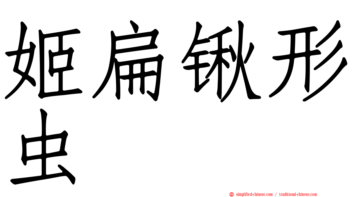 姬扁锹形虫