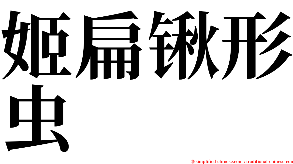 姬扁锹形虫 serif font