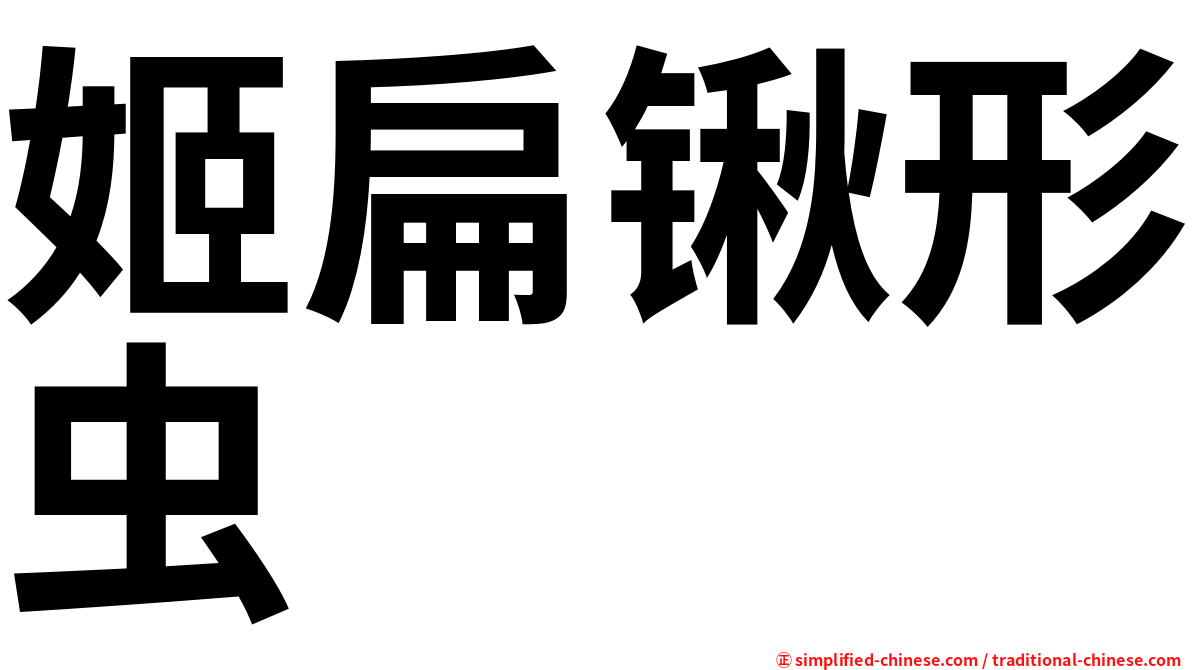 姬扁锹形虫