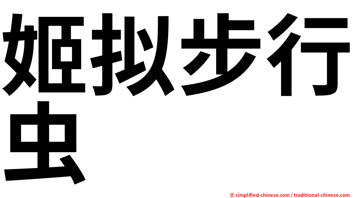 姬拟步行虫