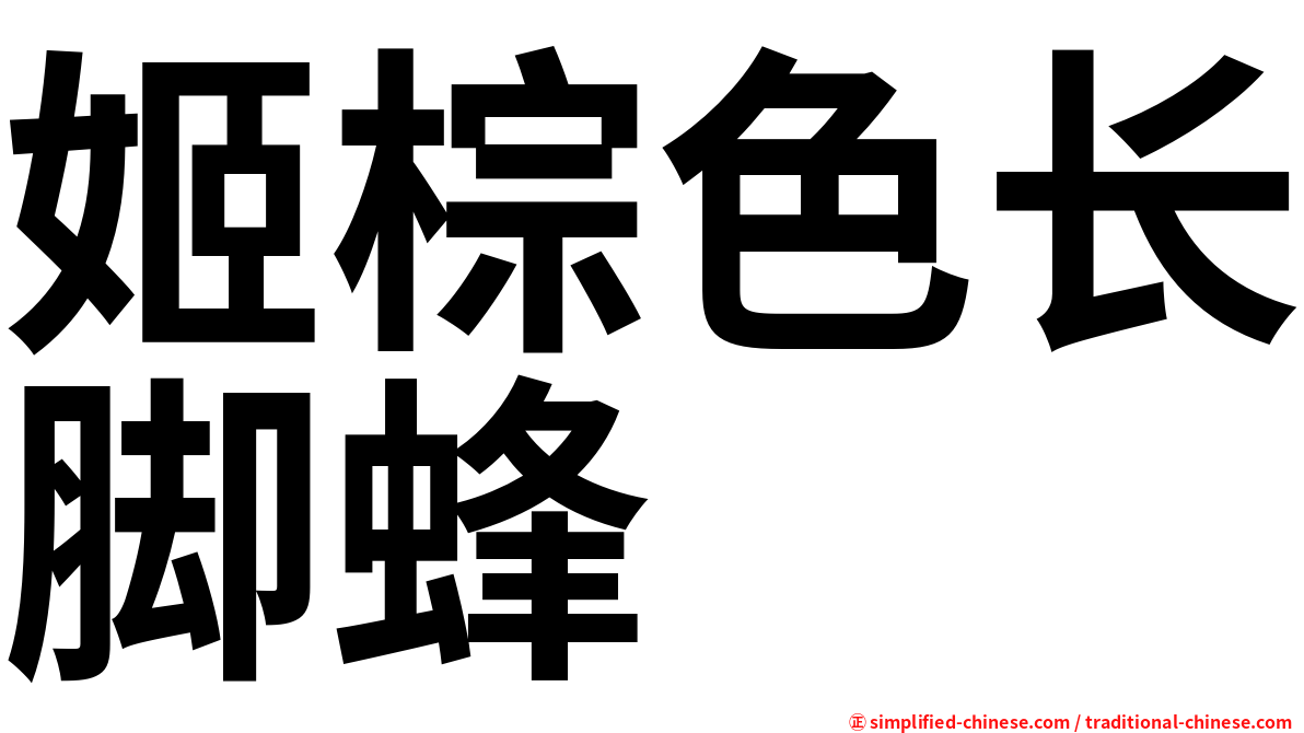 姬棕色长脚蜂
