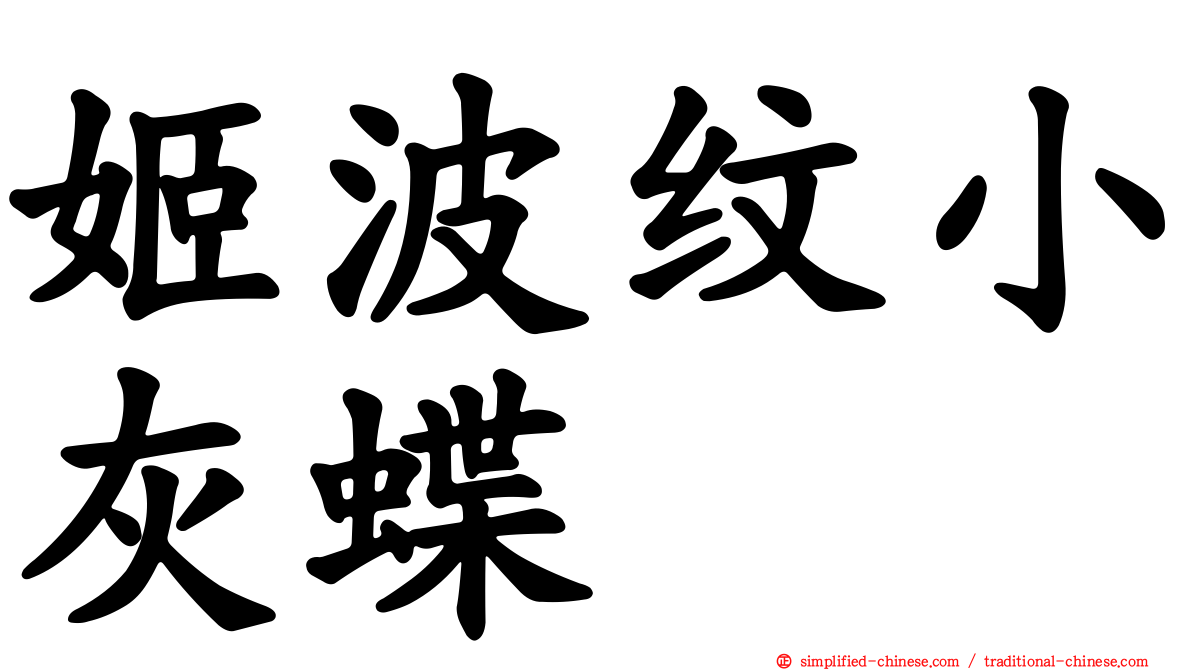 姬波纹小灰蝶