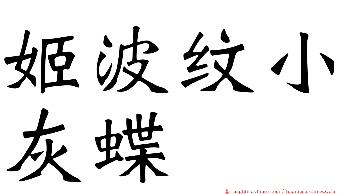 姬波纹小灰蝶