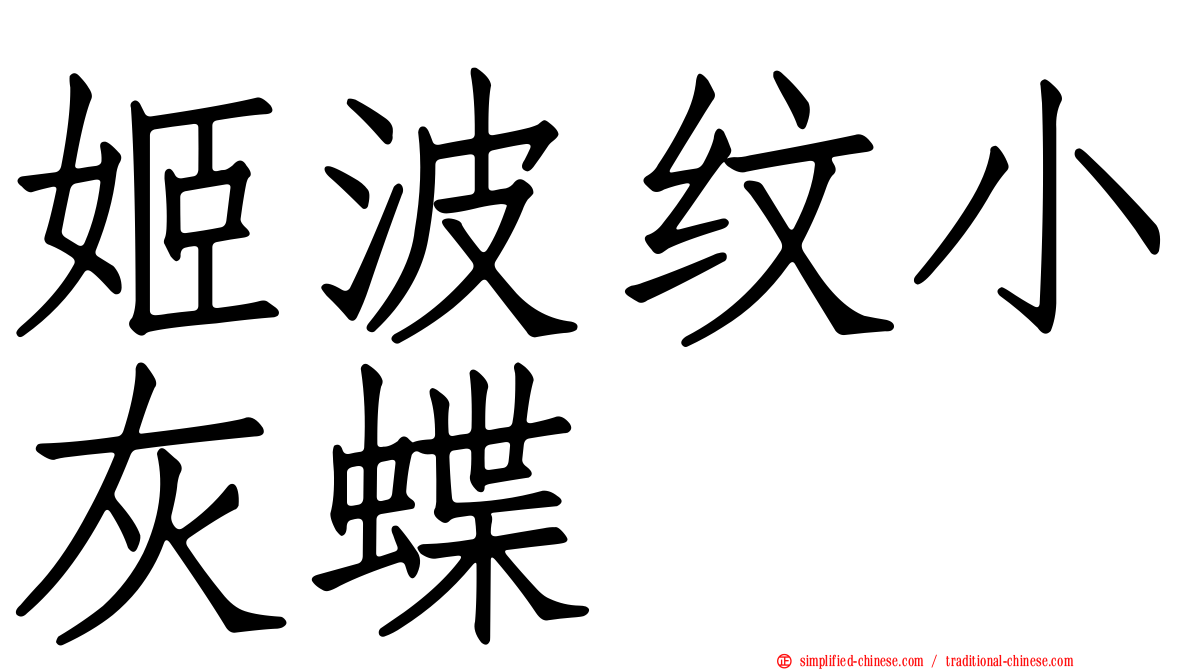 姬波纹小灰蝶
