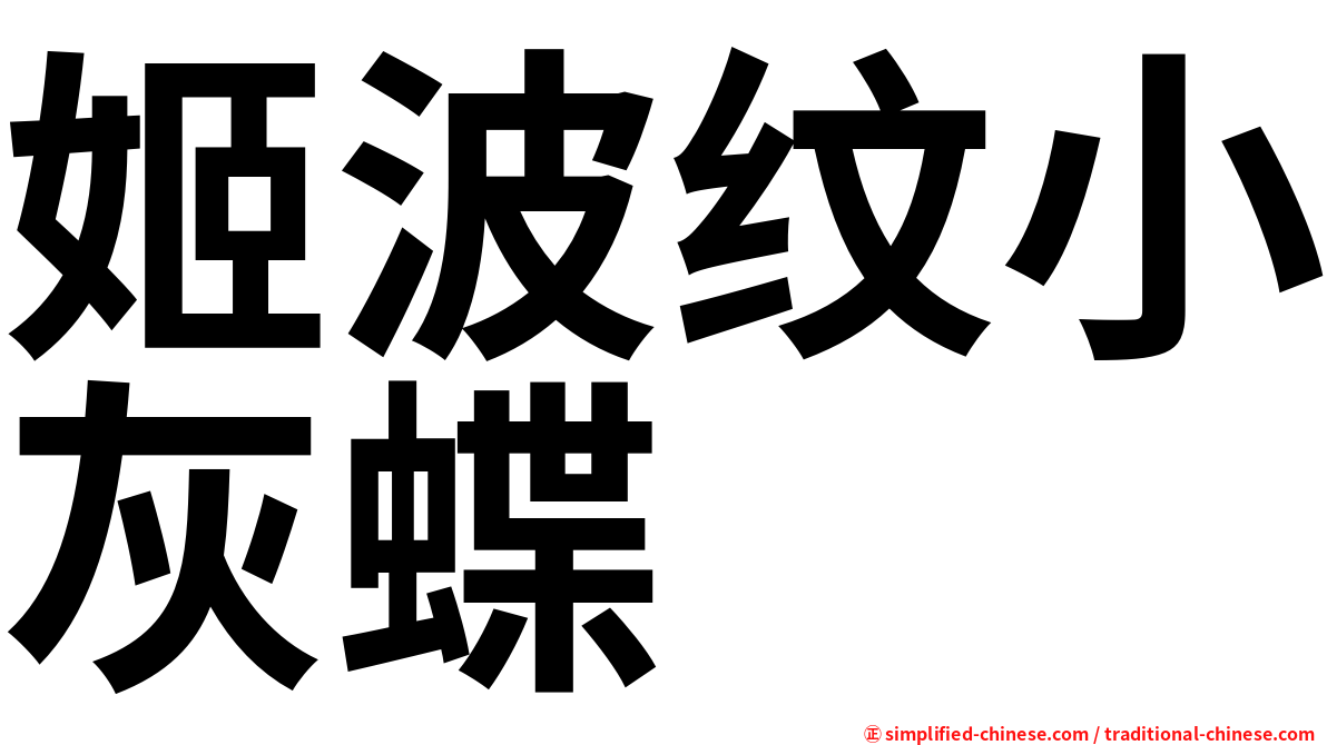 姬波纹小灰蝶