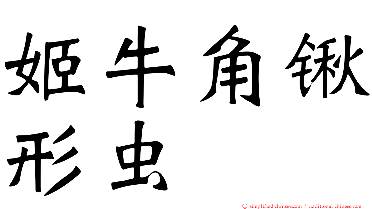 姬牛角锹形虫