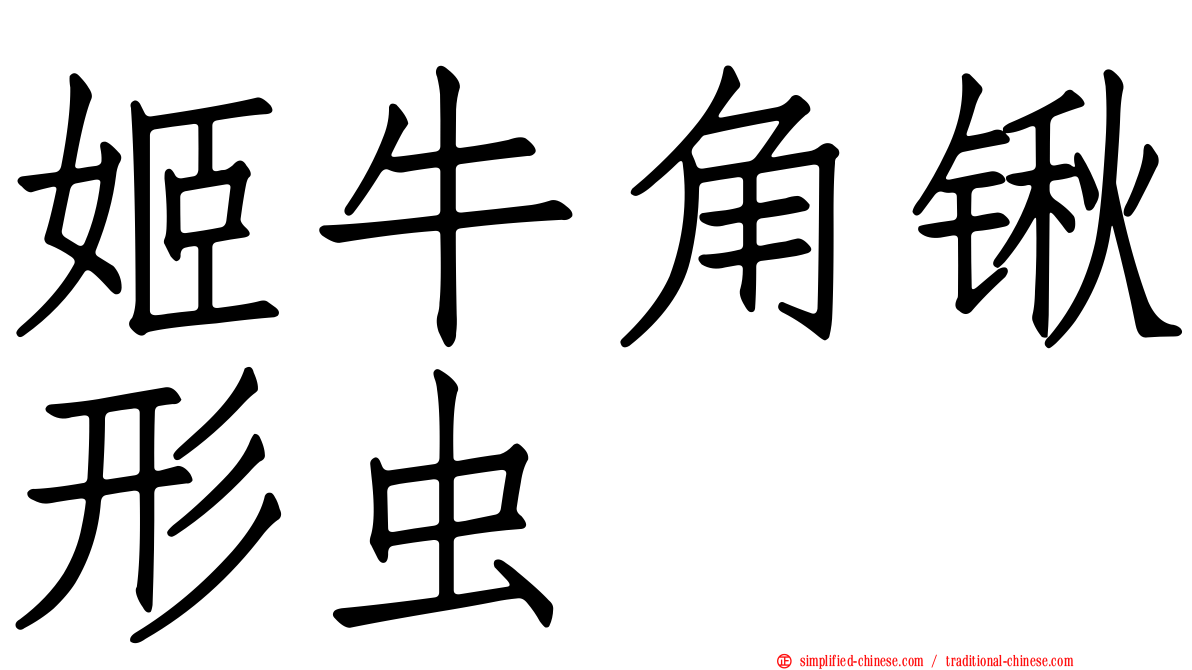 姬牛角锹形虫