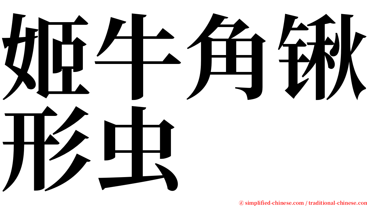 姬牛角锹形虫 serif font