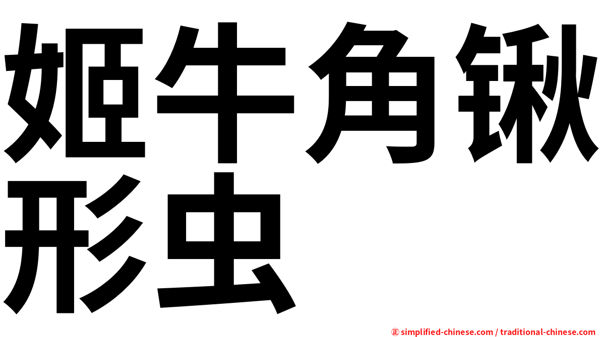 姬牛角锹形虫