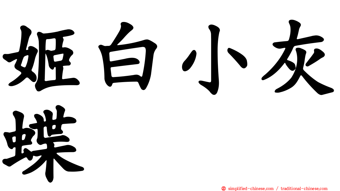 姬白小灰蝶