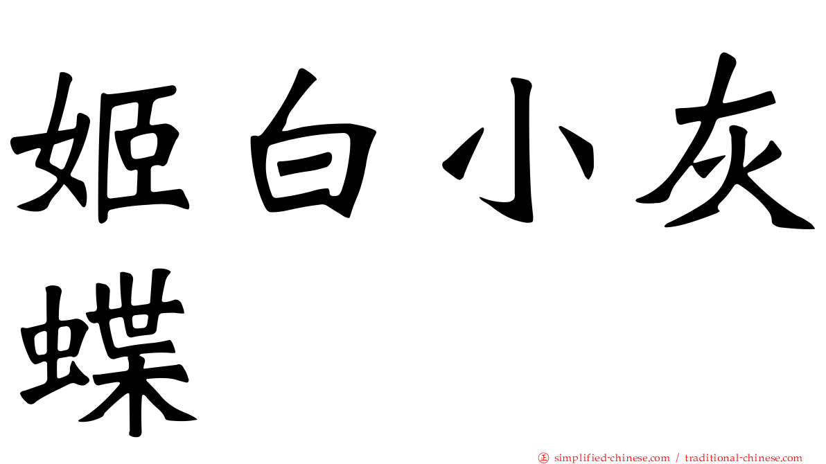 姬白小灰蝶