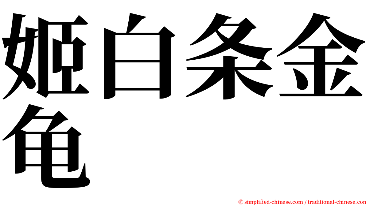 姬白条金龟 serif font