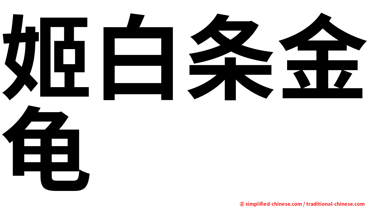 姬白条金龟