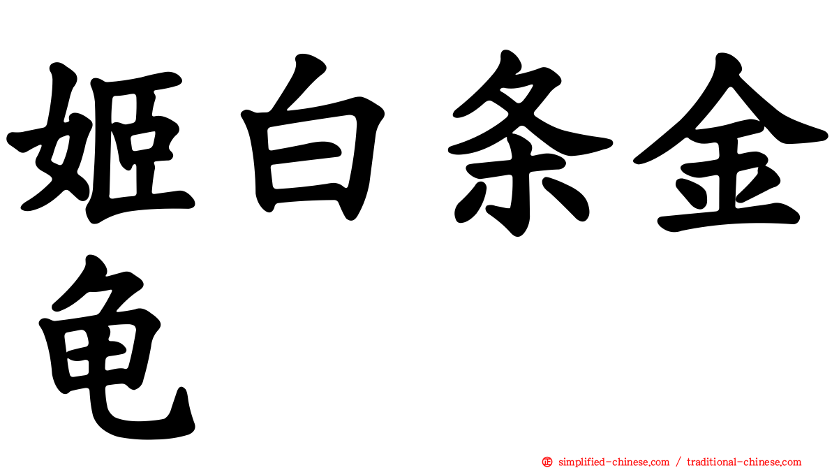 姬白条金龟