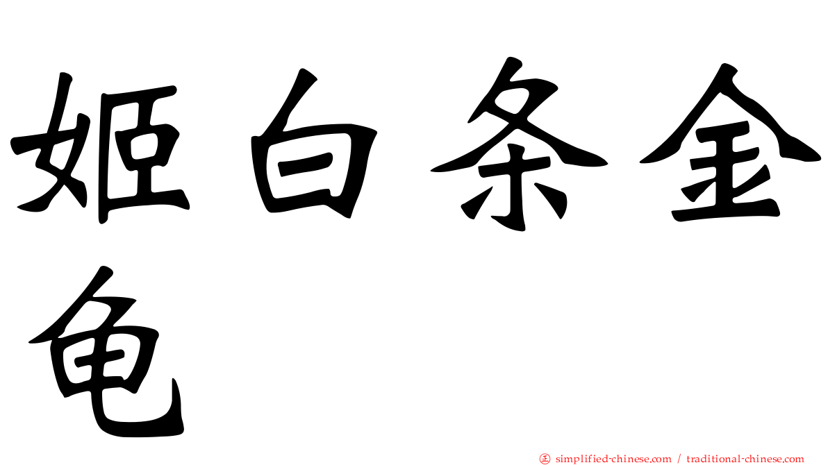 姬白条金龟