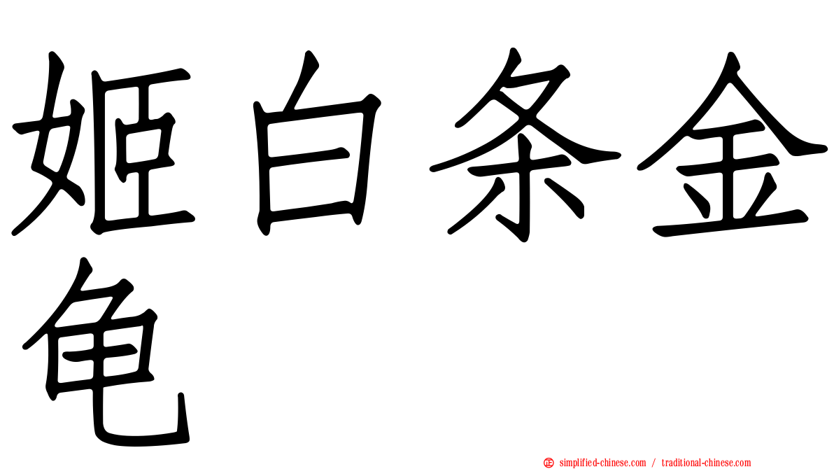 姬白条金龟