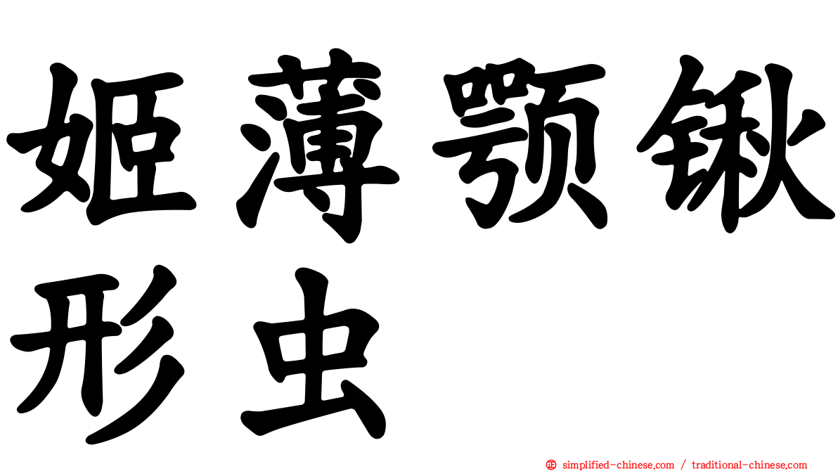 姬薄颚锹形虫