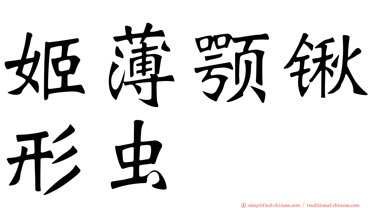 姬薄颚锹形虫