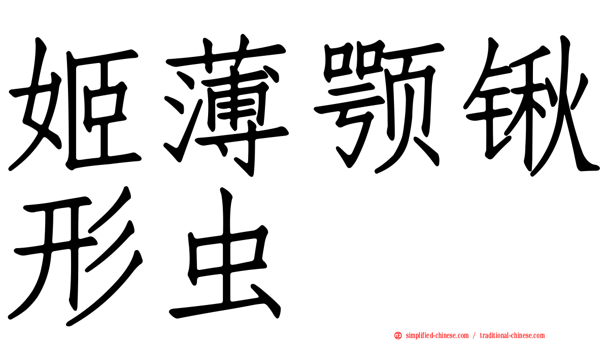 姬薄颚锹形虫