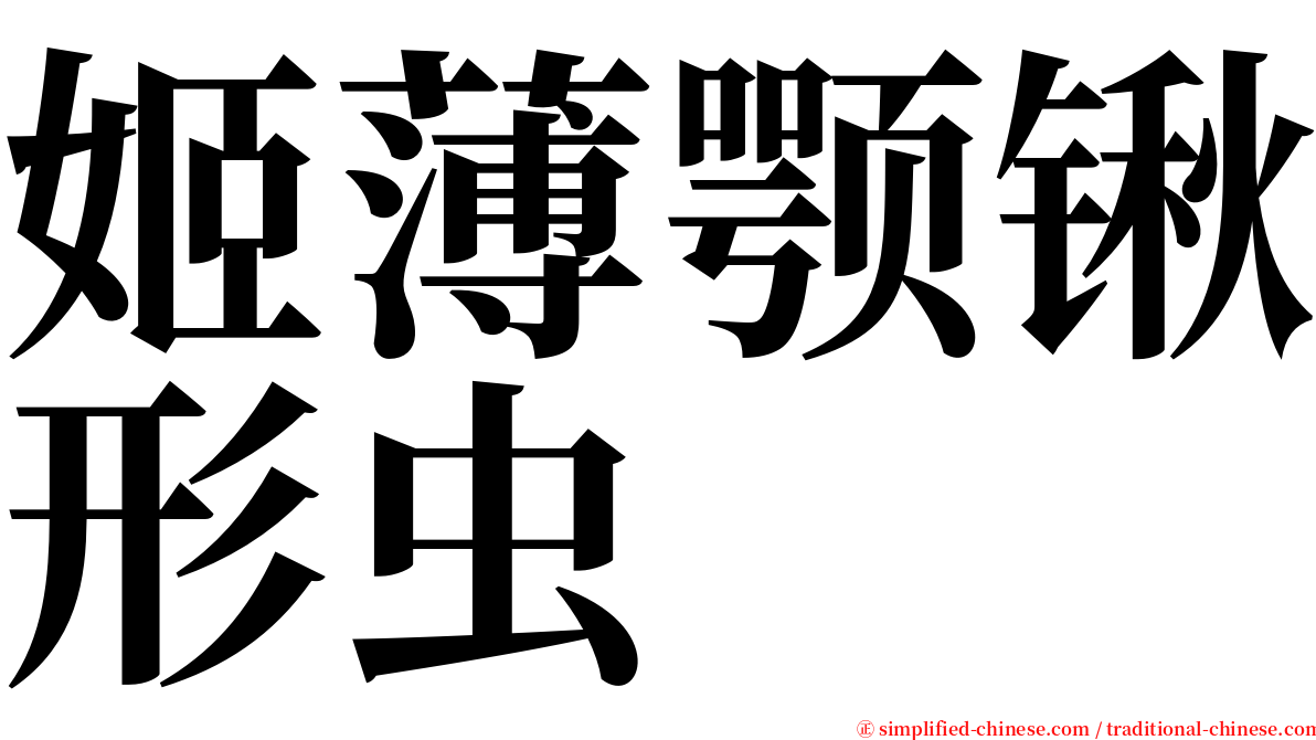 姬薄颚锹形虫 serif font