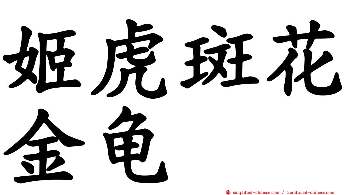姬虎斑花金龟