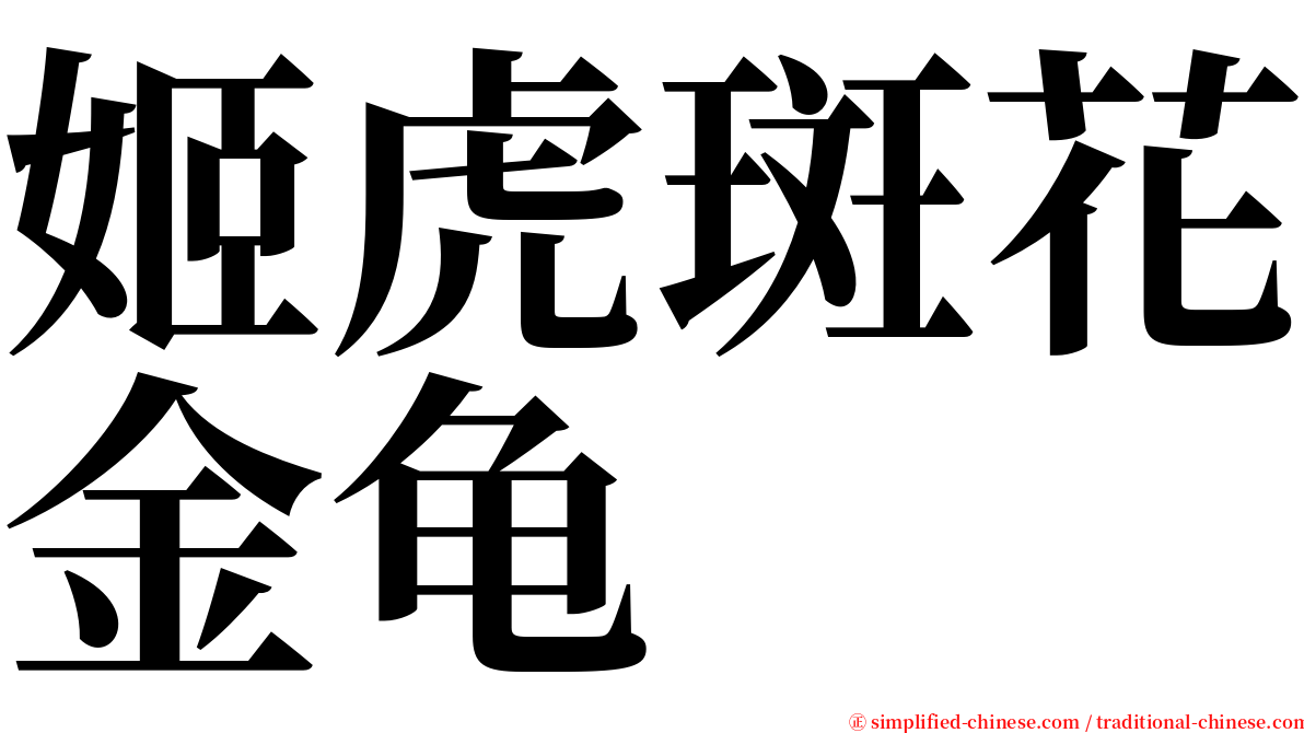 姬虎斑花金龟 serif font