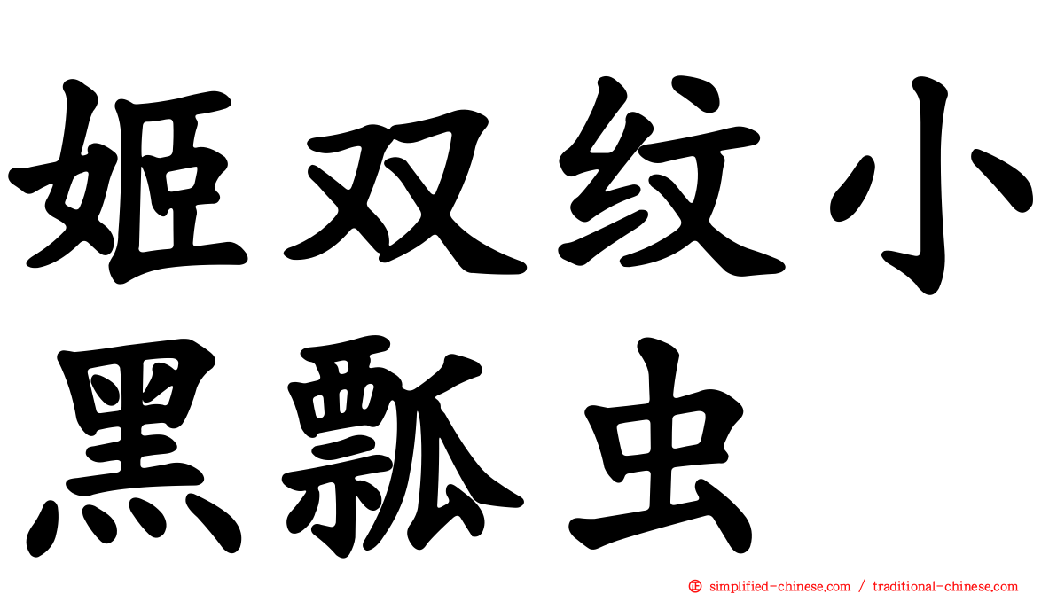 姬双纹小黑瓢虫
